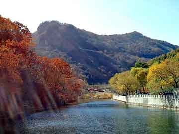 澳门二四六天天彩图库，纸管分切机